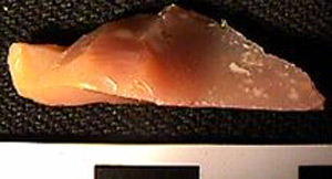 Thumbnail of Stone Tool: Worked Stone (1998.19.0010)