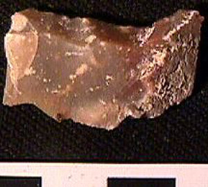 Thumbnail of Stone Tool: Worked Stone (1998.19.0012)