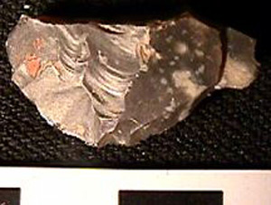 Thumbnail of Stone Tool: Worked Stone (1998.19.0013)