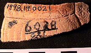 Thumbnail of Biospecimen: Bone Fragment (1998.19.0021)