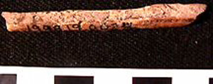 Thumbnail of Biospecimen: Bone Fragment (1998.19.0024)