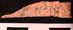 Thumbnail of Biospecimen: Bone Fragment (1998.19.0025)