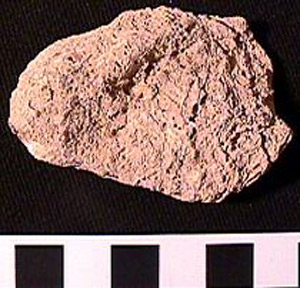 Thumbnail of Worked Shell Fragment, Matrix? (1998.19.0032)