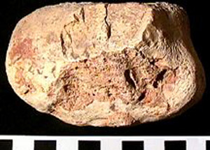 Thumbnail of Stone Tool: Worked Stone (1998.19.0044)