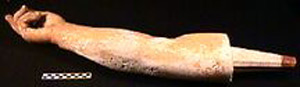 Thumbnail of Plaster Cast of Statue Right Arm of Amazon by Pheidias (1900.11.0004D)