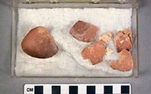 Thumbnail of Raw Material: Ibis Egg Shell Fragments (1914.05.0188)