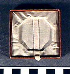 Thumbnail of Participation Medal Case: 1904 St. Louis Olympiad (1977.01.0691B)