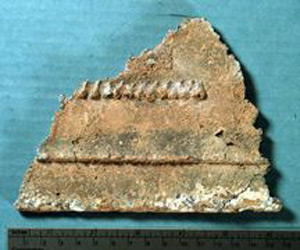 Thumbnail of Sarcophagus Fragment (1989.09.0007)