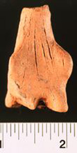 Thumbnail of Figurine Fragment, Human (1998.18.0009)