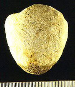 Thumbnail of Figurine Fragment: Head (1998.18.0108)