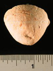 Thumbnail of Figurine Fragment: Head (1998.18.0109)