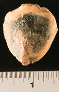 Thumbnail of Figurine Fragment: Head (1998.18.0114)