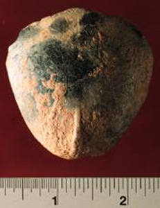 Thumbnail of Figurine Fragment: Head (1998.18.0122)