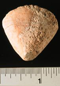 Thumbnail of Figurine Fragment: Head (1998.18.0133)