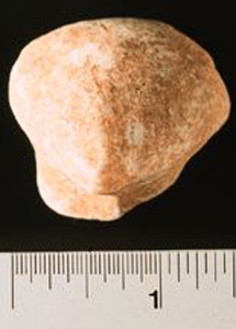 Thumbnail of Figurine Fragment: Head (1998.18.0135)