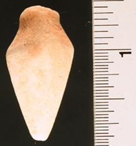 Thumbnail of Figurine Fragment: Head (1998.18.0146)