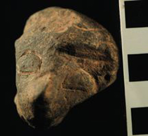 Thumbnail of Figurine Fragment: Head (1998.18.0185)