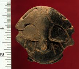 Thumbnail of Figurine Fragment: Head (1998.18.0195)
