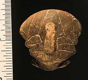 Thumbnail of Figurine Fragment: Head (1998.18.0198)