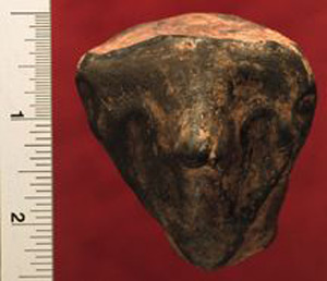 Thumbnail of Figurine Fragment: Head (1998.18.0227)