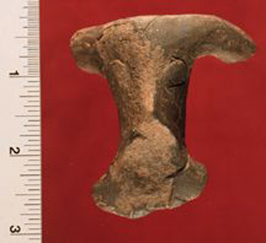 Thumbnail of Figurine Fragment: Head (1998.18.0230)