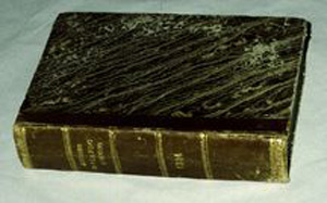 Thumbnail of Book: Orlando Furioso (1922.06.0012)