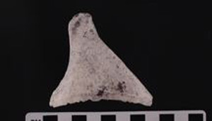 Thumbnail of Scraper (2000.01.0010L)