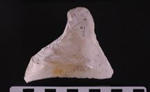 Thumbnail of Scraper (2000.01.0010M)