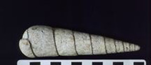 Thumbnail of Auger Shell Scraper (2000.01.0011B)