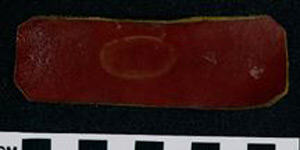 Thumbnail of Boss, Pottery Scraper (2000.01.0060)