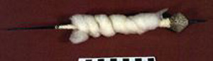 Thumbnail of Spindle and Whorl (2000.01.0102C)