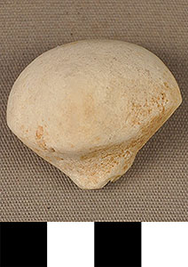 Thumbnail of Figurine Fragment, Head, "Stargazer"  (2000.17.0129)