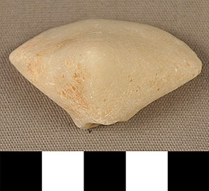 Thumbnail of Figurine Fragment, Head, "Stargazer"  (2000.17.0131)