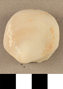 Thumbnail of Figurine Fragment, Head, "Stargazer"  (2000.17.0133)