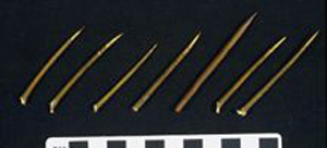 Thumbnail of Thorns for Separating Pandanus for Plaiting (2000.21.0002B)