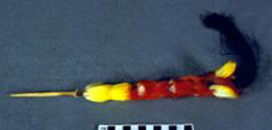 Thumbnail of Tawasap, Braid (2001.05.0063B)