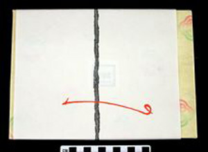 Thumbnail of Shoe Box Lid (2002.01.0001D)