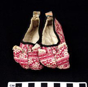 Thumbnail of Shoe (2002.05.0005A)