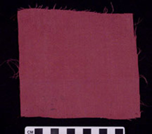 Thumbnail of Artifact Remnant: Textile Costume Sample, Dobby (1925.02.0205)