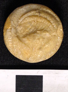 Thumbnail of Lentoid "Island Stone" Seal (1928.01.0005A)