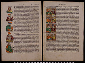 Thumbnail of Folio Page: Schedel