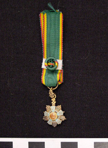 Thumbnail of Medal: Miniature Victory Star (1971.15.3234)