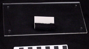 Thumbnail of Display Case Base for Commemorative Medal for XI Olympic Winter Games in Sapporo (1977.01.0390J)