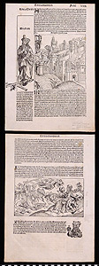 Thumbnail of Folio: Nuremberg Chronicle; Lercia Etas Mundi ()