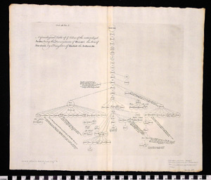 Thumbnail of Engraving: Genealogical Table (1996.26.0032)
