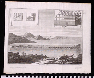 Thumbnail of Engraving: Noah