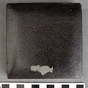 Thumbnail of Medal Case (1977.01.0752C)