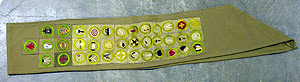 Thumbnail of Boy Scout Sash (1996.24.1223)