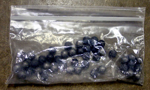 Thumbnail of 36 Caliber Shot, Forty-Four Pieces (1996.24.1462H)