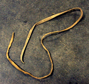 Thumbnail of Leather Tie  (1996.24.1540N)